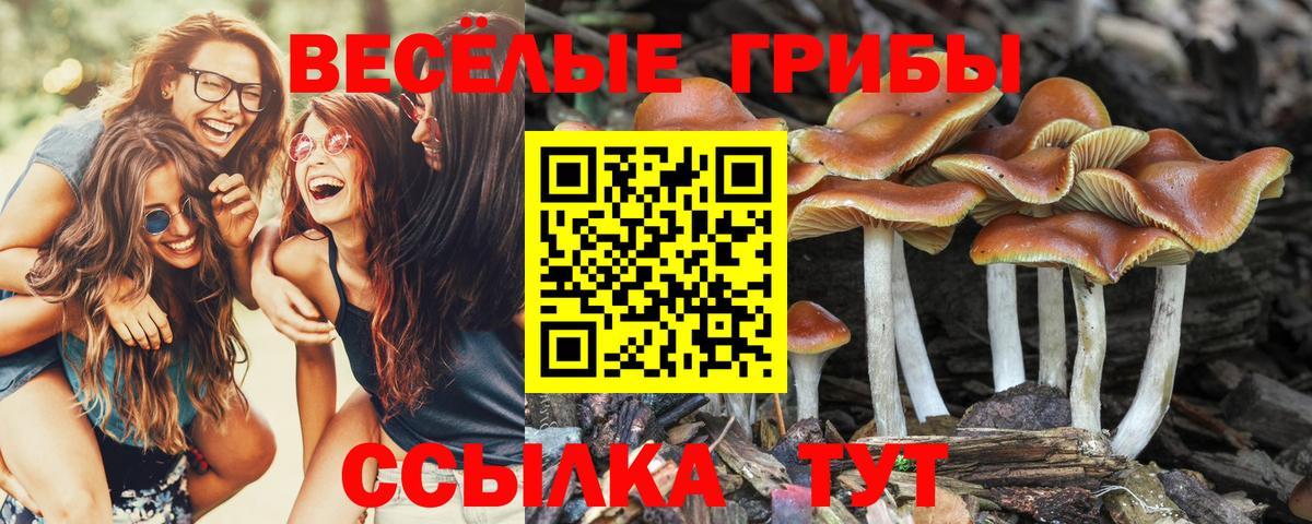 Псилоцибиновые грибы мицелий  Вход с VPN  Дзержинский 